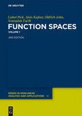 Pick / Fucík / Kufner |  Function Spaces, 1 | Buch |  Sack Fachmedien