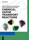 Binnewies / Schmidt / Glaum |  Chemical Vapor Transport Reactions | Buch |  Sack Fachmedien