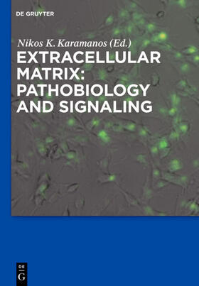 Karamanos |  Extracellular Matrix: Pathobiology and Signaling | eBook | Sack Fachmedien