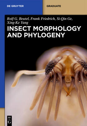 Beutel / Ge / Friedrich |  Insect Morphology and Phylogeny | Buch |  Sack Fachmedien