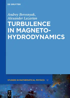 Beresnyak / Lazarian |  Turbulence in Magnetohydrodynamics | Buch |  Sack Fachmedien