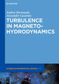 Beresnyak / Lazarian |  Turbulence in Magnetohydrodynamics | eBook | Sack Fachmedien