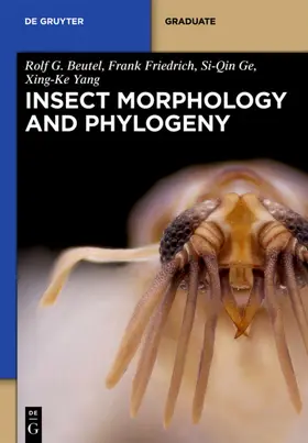 Beutel / Friedrich / Yang |  Insect  Morphology and Phylogeny | eBook | Sack Fachmedien