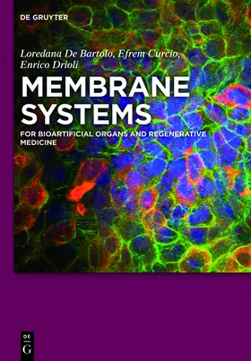 De Bartolo / Drioli / Curcio |  Membrane Systems | Buch |  Sack Fachmedien
