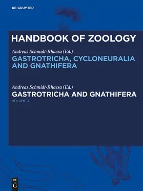 Schmidt-Rhaesa / Kükenthal |  Gastrotricha and Gnathifera | Buch |  Sack Fachmedien