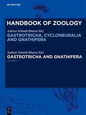 Schmidt-Rhaesa / Kükenthal |  Gastrotricha and Gnathifera | eBook | Sack Fachmedien