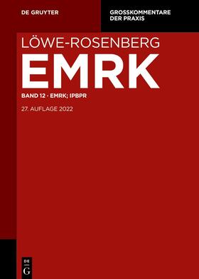 Esser / Löwe | Löwe/Rosenberg StPO und GerichtsverfassungsG Bd. 12 | Buch | 978-3-11-027483-7 | sack.de