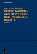 Windel |  Ernst Jaeger - Aus der Praxis des Insolvenzrechts | Buch |  Sack Fachmedien