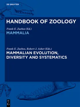 Kükenthal / Zachos / Beier |  Handbook of Zoology/ Handbuch der Zoologie, Mammalian Evolution, Diversity and Systematics | Buch |  Sack Fachmedien
