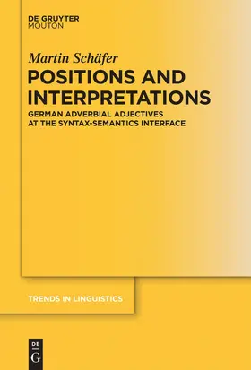 Schäfer |  Positions and Interpretations | Buch |  Sack Fachmedien