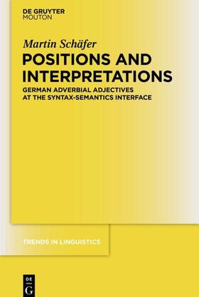 Schäfer | Positions and Interpretations | Buch | 978-3-11-027644-2 | sack.de
