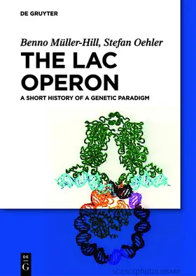 Müller-Hill / Oehler |  The lac Operon | Buch |  Sack Fachmedien