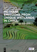 Chen / Wu / Peng |  Methane Emissions from Unique Wetlands in China | Buch |  Sack Fachmedien