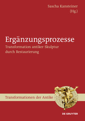 Kansteiner | Ergänzungsprozesse | Buch | 978-3-11-033182-0 | sack.de