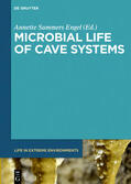 Summers Engel |  Microbial Life of Cave Systems | Buch |  Sack Fachmedien