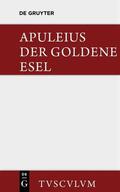 Apuleius / Brandt |  Der goldene Esel | eBook | Sack Fachmedien