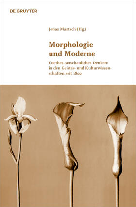 Maatsch |  Morphologie und Moderne | Buch |  Sack Fachmedien