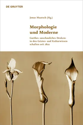 Maatsch | Morphologie und Moderne | Buch | 978-3-11-037212-0 | sack.de