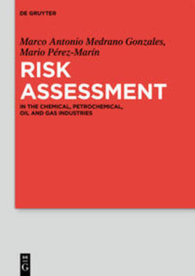 Medrano Gonzales / Pérez-Marín | Risk Assessment | Buch | 978-3-11-037275-5 | sack.de