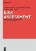 Medrano Gonzales / Pérez-Marín |  Risk Assessment | Buch |  Sack Fachmedien