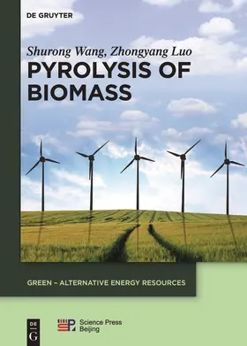 Wang / Luo | Pyrolysis of Biomass | Buch | 978-3-11-037457-5 | www.sack.de