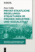 Collin |  Privat-staatliche Regelungsstrukturen im frühen Industrie- und Sozialstaat | Buch |  Sack Fachmedien