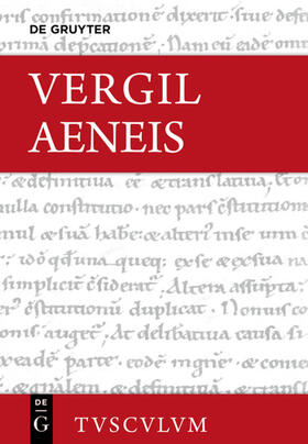 Vergil / Holzberg | Aeneis | Buch | 978-3-11-040879-9 | sack.de