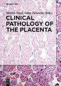 Vogel / Turowski |  Clinical Pathology of the Placenta | eBook | Sack Fachmedien