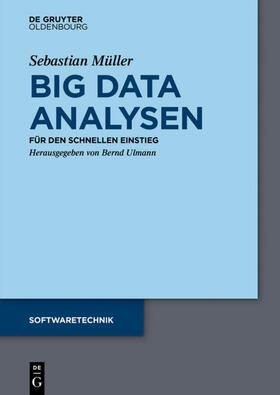 Müller / Ulmann | Big Data Analysen | Buch | 978-3-11-045552-6 | sack.de