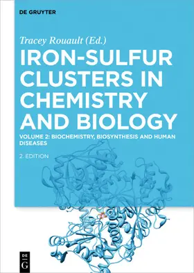 Rouault |  Biochemistry, Biosynthesis and Human Diseases | eBook | Sack Fachmedien