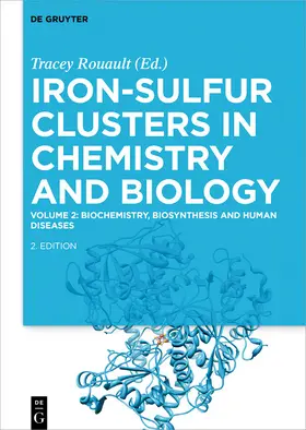 Rouault |  Biochemistry, Biosynthesis and Human Diseases | eBook | Sack Fachmedien
