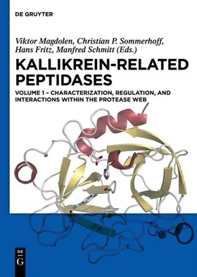 Magdolen / Sommerhoff / Fritz |  Characterization, regulation, and interactions within the protease web | Buch |  Sack Fachmedien