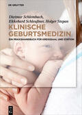 Schlembach / Schleußner / Stepan |  Schlembach, D: Klinische Geburtsmedizin | Buch |  Sack Fachmedien