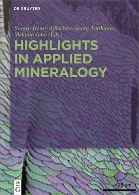 Heuss-Aßbichler / Amthauer / John | Highlights in Applied Mineralogy | Buch | 978-3-11-049122-7 | sack.de