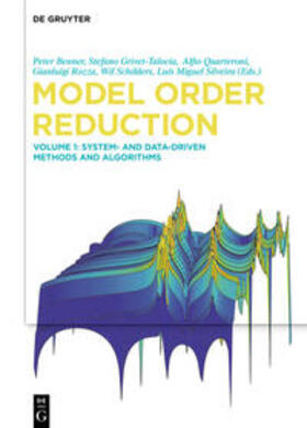 Benner | Model Order Reduction | Buch | 978-3-11-050043-1 | sack.de