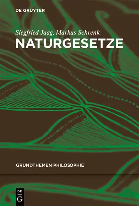 Jaag / Schrenk |  Naturgesetze | eBook | Sack Fachmedien