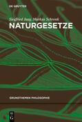 Jaag / Schrenk |  Naturgesetze | eBook | Sack Fachmedien