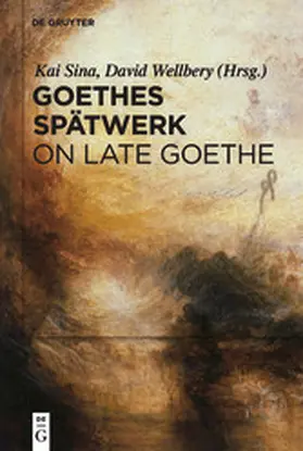 Sina / Wellbery |  Goethes Spätwerk / On Late Goethe | eBook | Sack Fachmedien