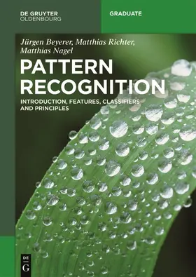 Beyerer / Richter / Nagel |  Pattern Recognition | Buch |  Sack Fachmedien