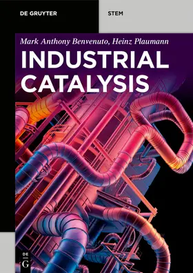 Plaumann / Benvenuto |  Industrial Catalysis | Buch |  Sack Fachmedien