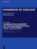 Langer / Schmidt-Rhaesa |  Comparative Anatomy of the Gastrointestinal Tract in Eutheria II | eBook | Sack Fachmedien