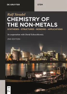 Steudel | Chemistry of the Non-Metals | Buch | 978-3-11-057805-8 | www.sack.de
