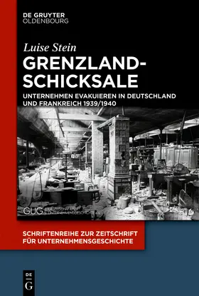 Stein | Grenzlandschicksale | Buch | 978-3-11-058898-9 | sack.de