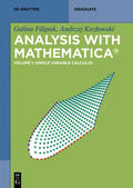 Filipuk / Kozlowski / Kozlowski |  Single Variable Calculus | eBook | Sack Fachmedien