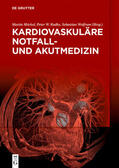 Möckel / Radke / Wolfrum |  Kardiovaskuläre Notfall- und Akutmedizin | Buch |  Sack Fachmedien