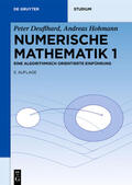Deuflhard / Hohmann |  Numerische Mathematik 1 | Buch |  Sack Fachmedien