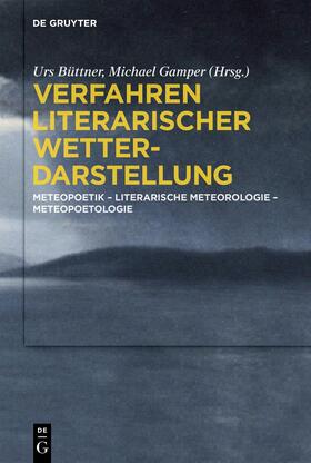 Büttner / Gamper | Verfahren literarischer Wetterdarstellung | Buch | 978-3-11-062079-5 | sack.de