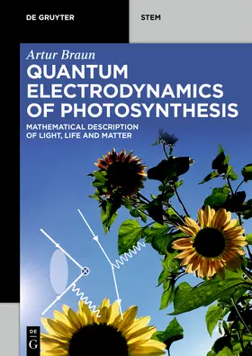Braun |  Quantum Electrodynamics of Photosynthesis | eBook | Sack Fachmedien