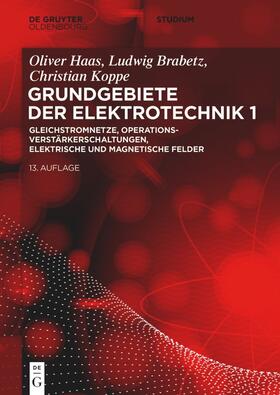 Brabetz / Koppe / Haas | Gleichstromnetze, Operationsverstärkerschaltungen, elektrische und magnetische Felder | Buch | 978-3-11-063154-8 | sack.de