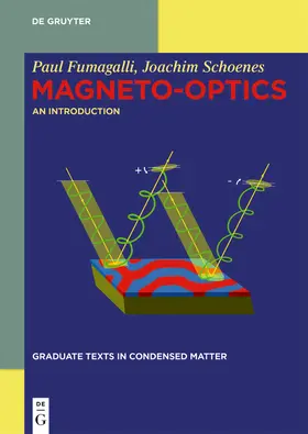 Fumagalli / Schoenes |  Magneto-optics | Buch |  Sack Fachmedien